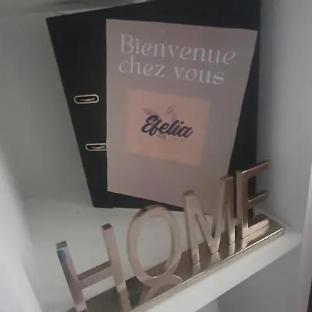 Arc De Triomphe Charme Authentique